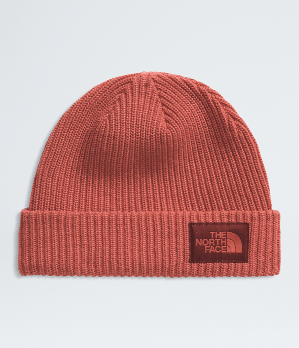 Salty Lined Beanie